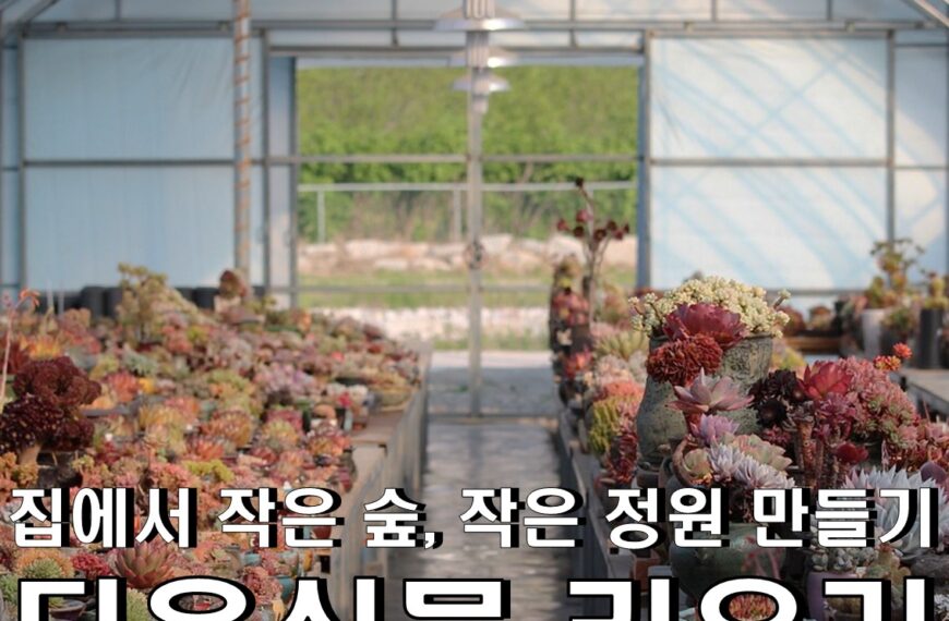 다육이 종류 & 다육이키우기 & 염자 : 내 집의 작은 숲, 아파트에서 다육식물 키우기!