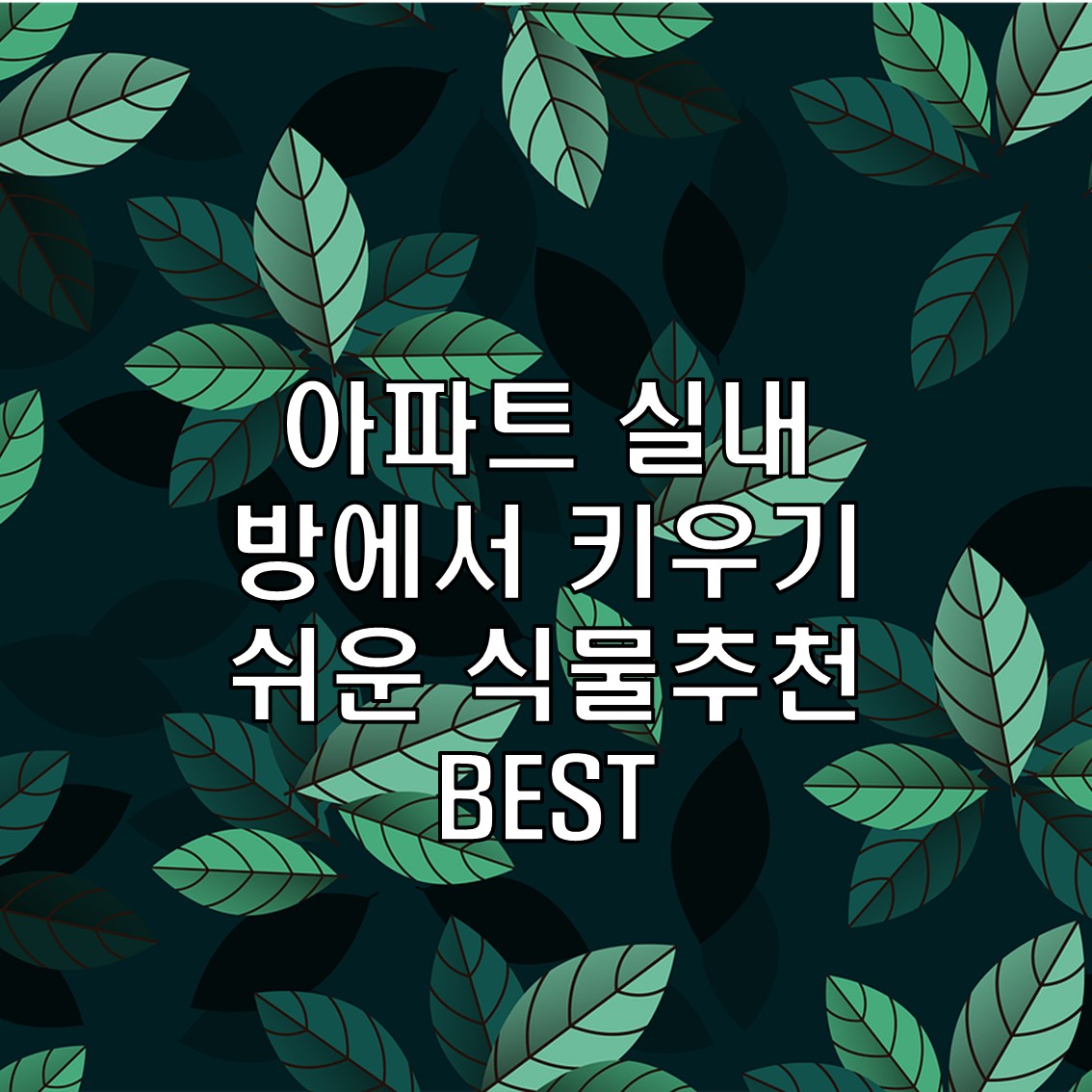 아파트 실내에서 키우기 쉬운 식물, 방에서 키우기 쉬운 식물 추천 BSET
