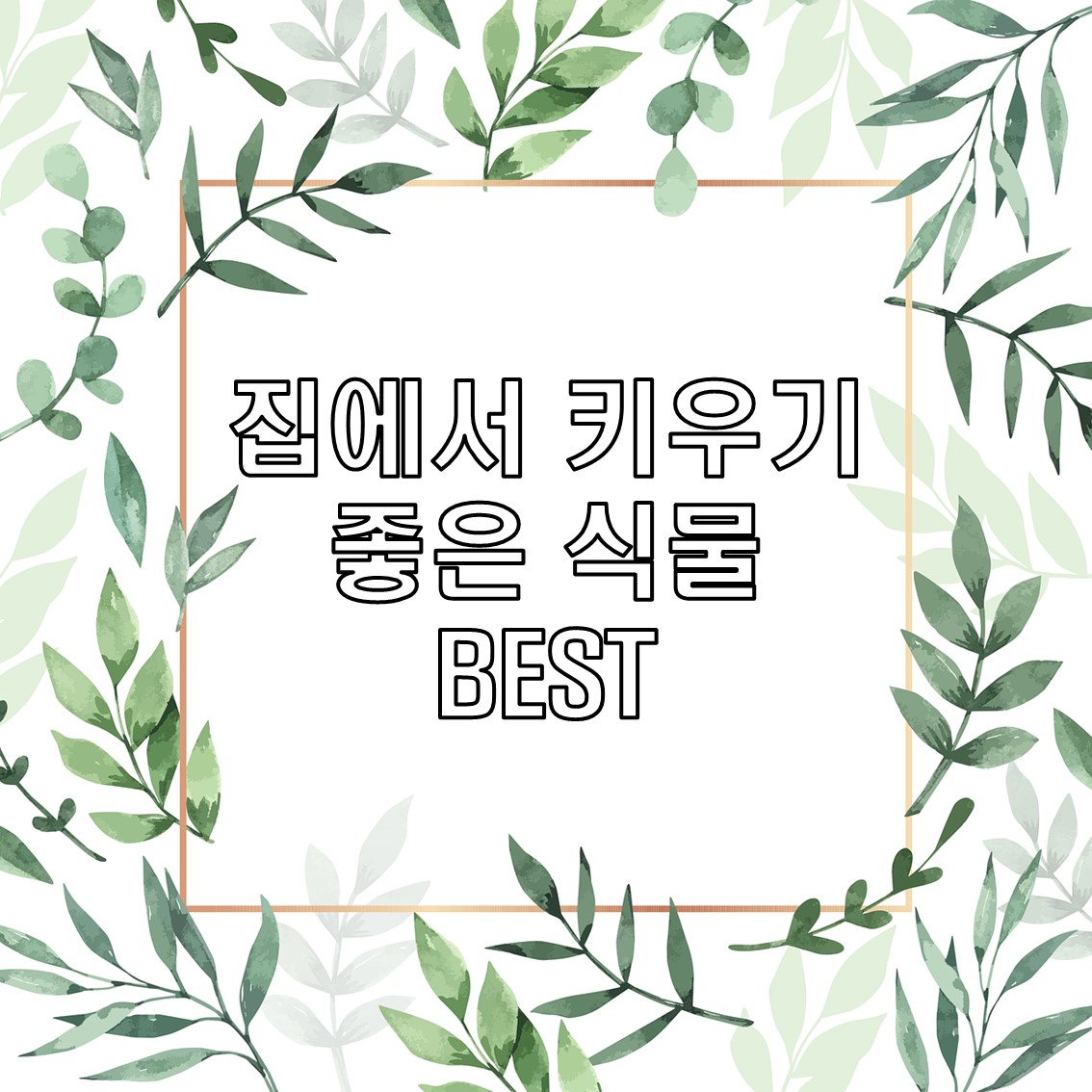 집에서 키우기 좋은 식물, 아파트 실내 거실에서 키우기 쉬운 추천 BEST