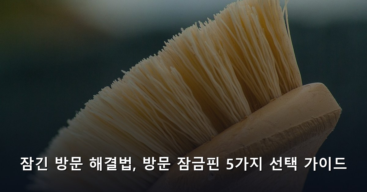잠긴 방문 해결법, 방문 잠금핀 5가지 선택 가이드